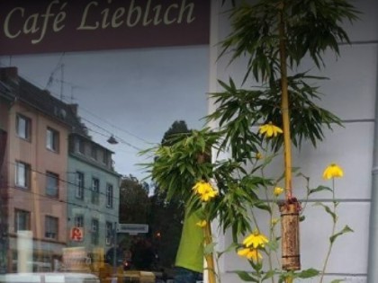 Foto: Lieblich